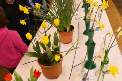 CentralAreaWithPeople