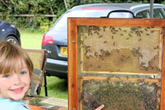 Bees