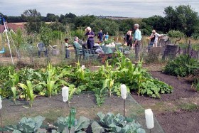 allotments4