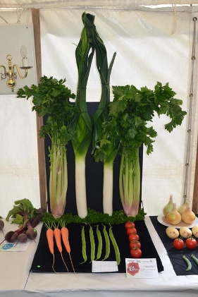 winningveg2012