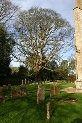 standingstone