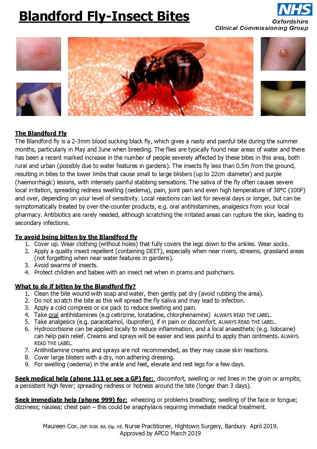 Blandford Fly Advice Poster