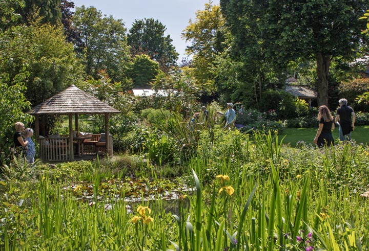 Open garden
