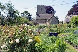 garden photo