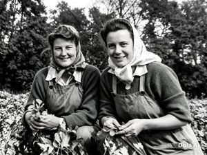 Joyce & Norma